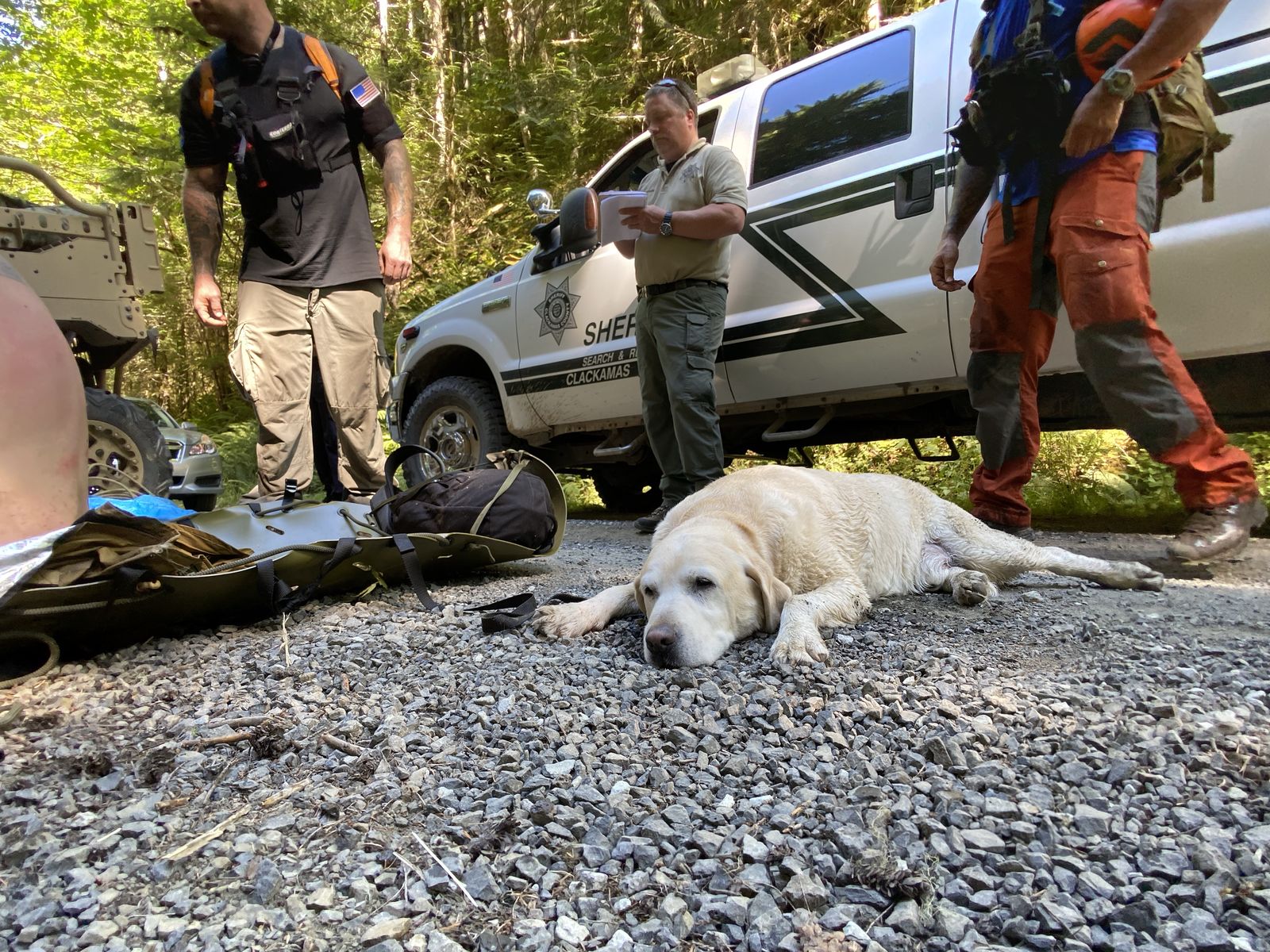 Dog Rescued with Owners in Mt. Hood National Forest